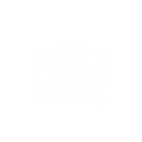RETRO SCREEN
